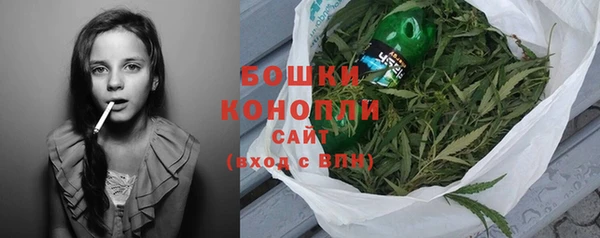 винт Бородино