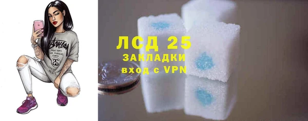 apvp Верея