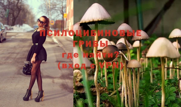 jwh Бугульма