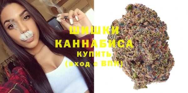 apvp Верея