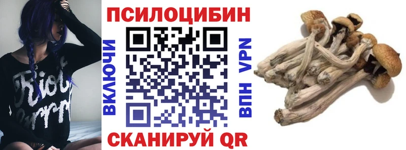 Псилоцибиновые грибы ЛСД  ОМГ ОМГ вход  Кизилюрт 